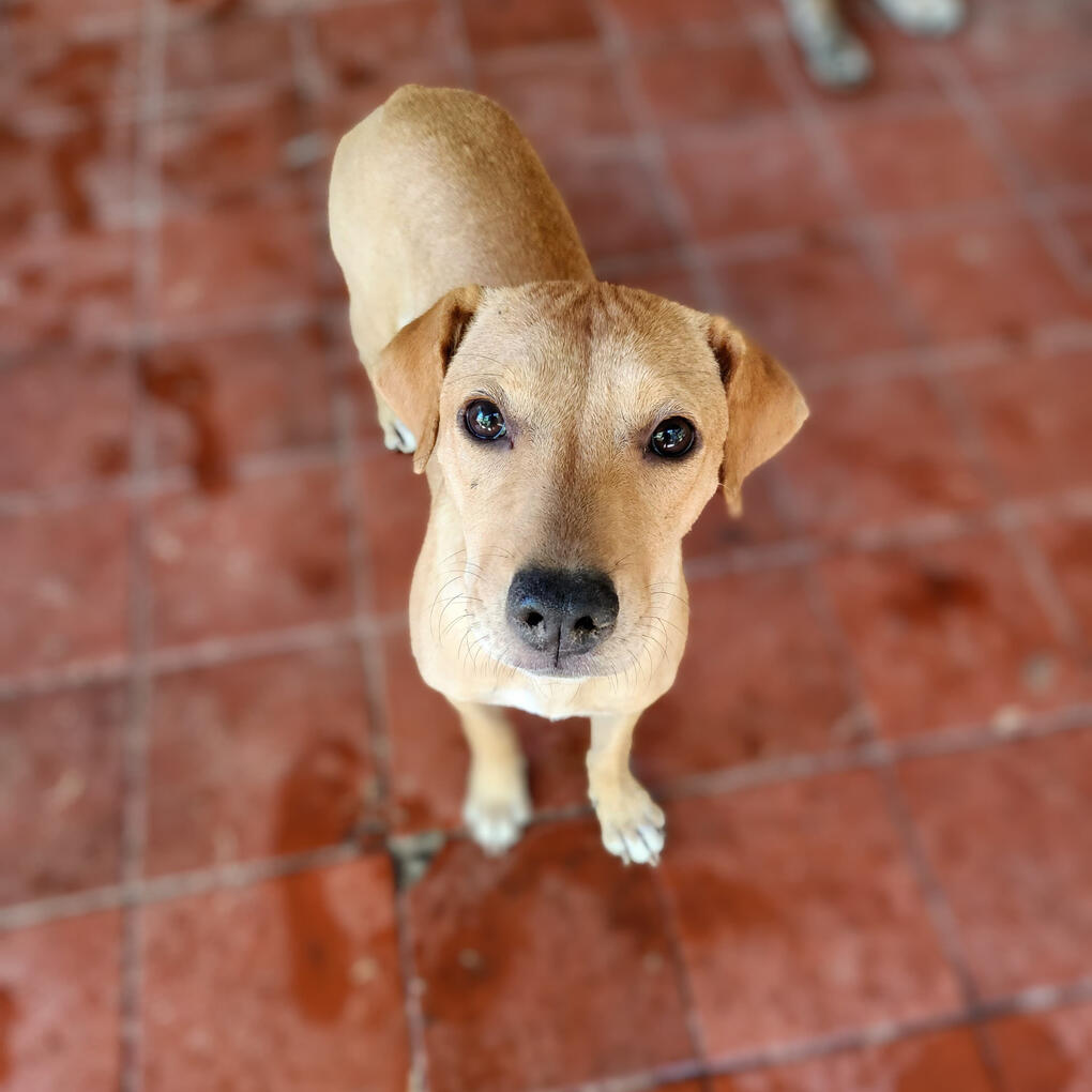 Duna, 5 meses